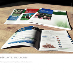 Brochure-Everris.jpg